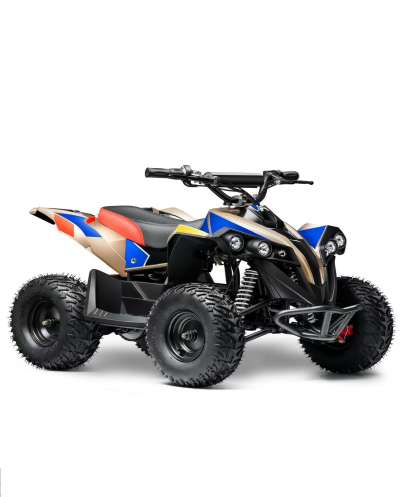 Recalled E-Bully Youth ATV