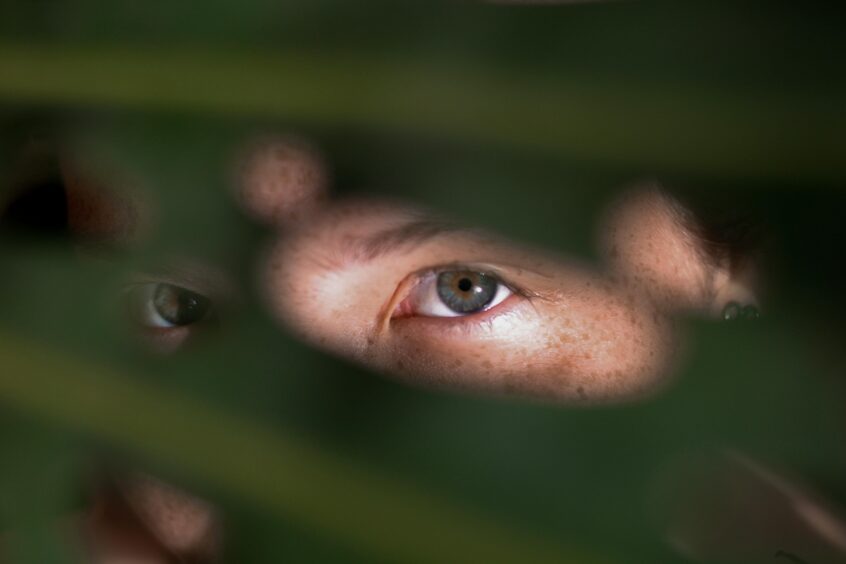 A mysterious close-up photo showing eyes peeking through green foliage.